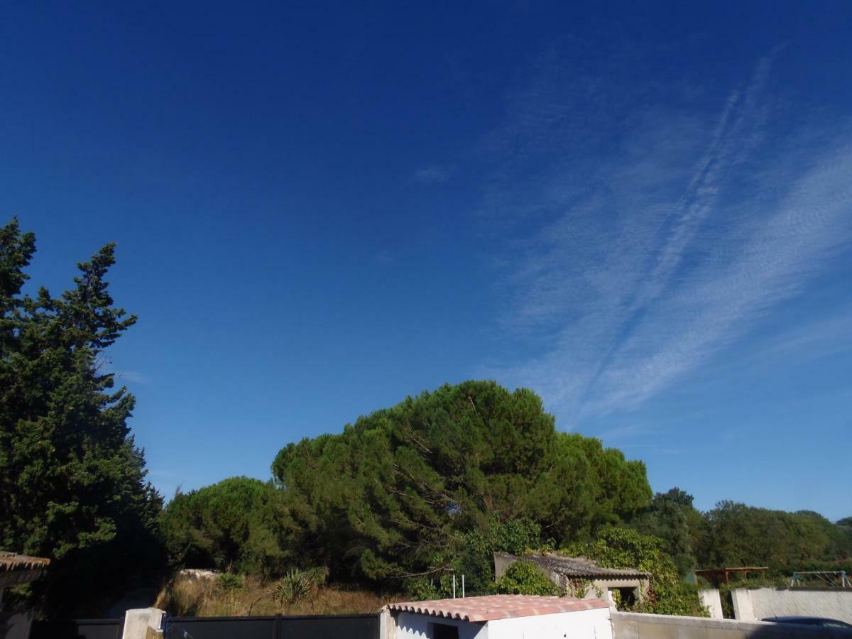 Ferienwohnung Joli Mazet Entre Montpellier Et Nimes Aimargues Exterior foto